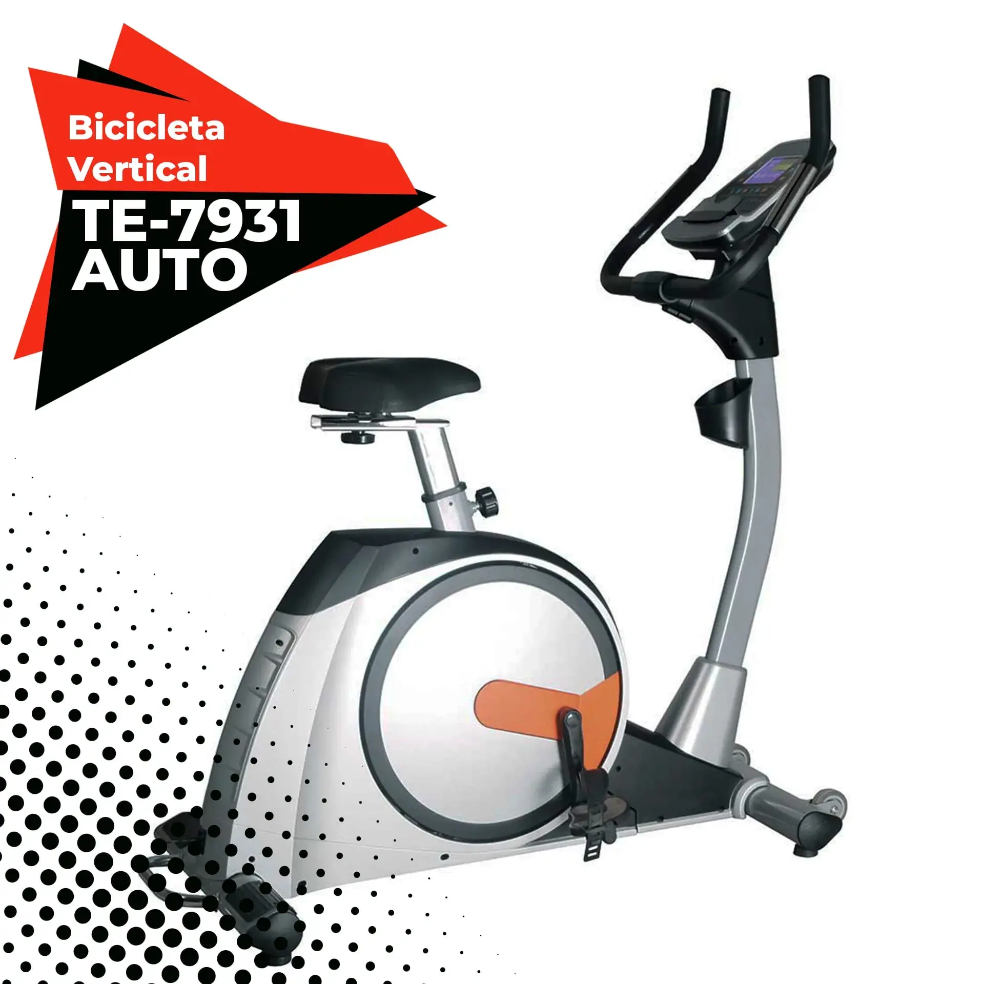 Bici fija profesional TE7931/AUTO