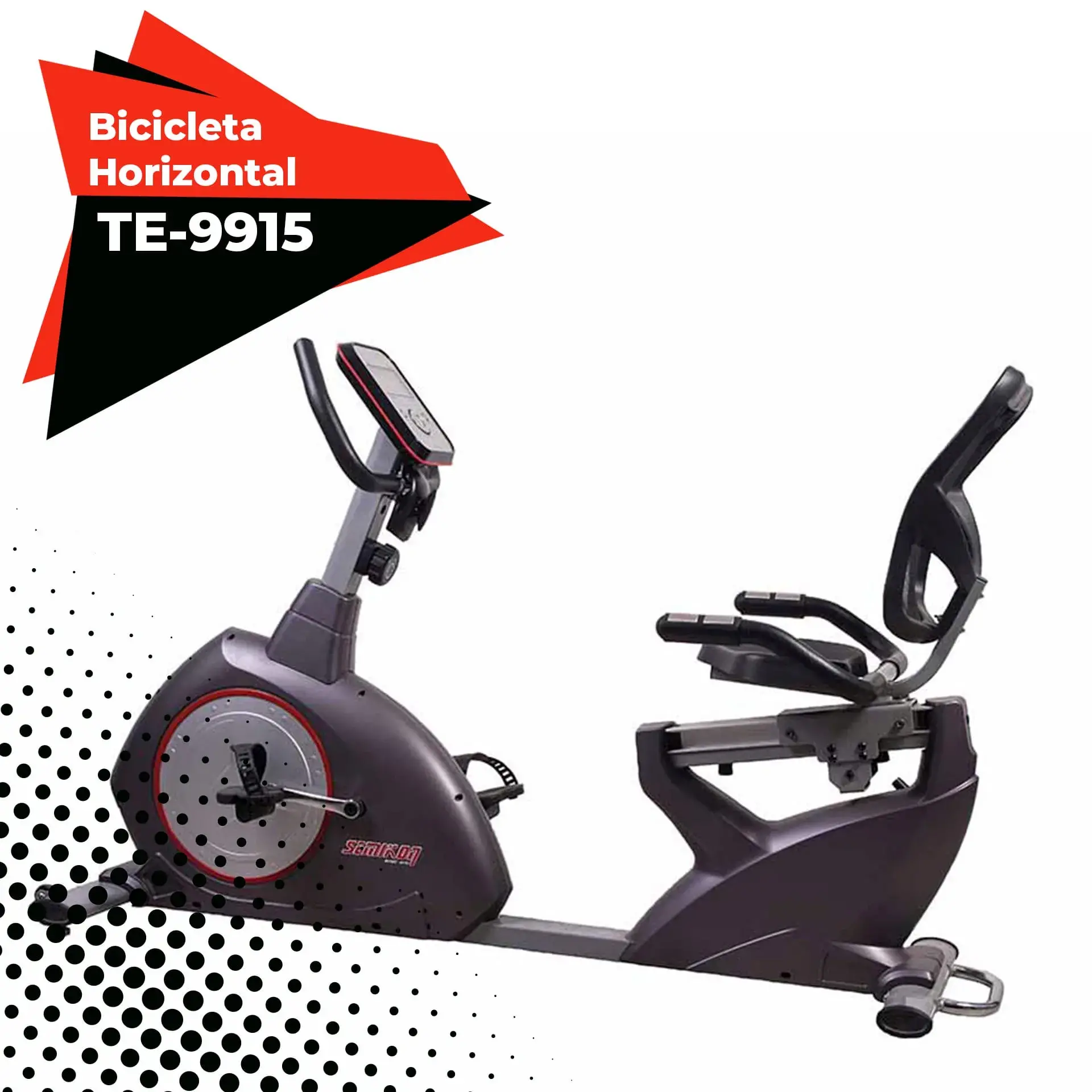 Bicicleta recumbente - TE9915